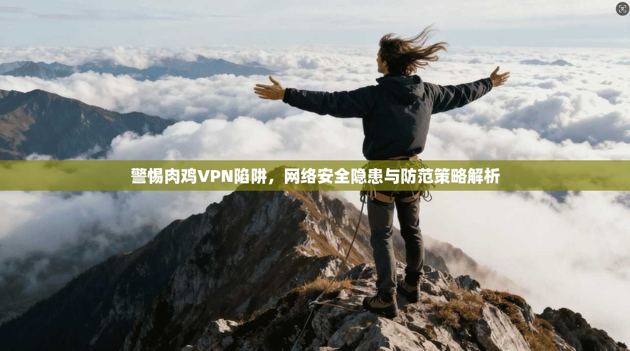 警惕肉鸡VPN陷阱，网络安全隐患与防范策略解析