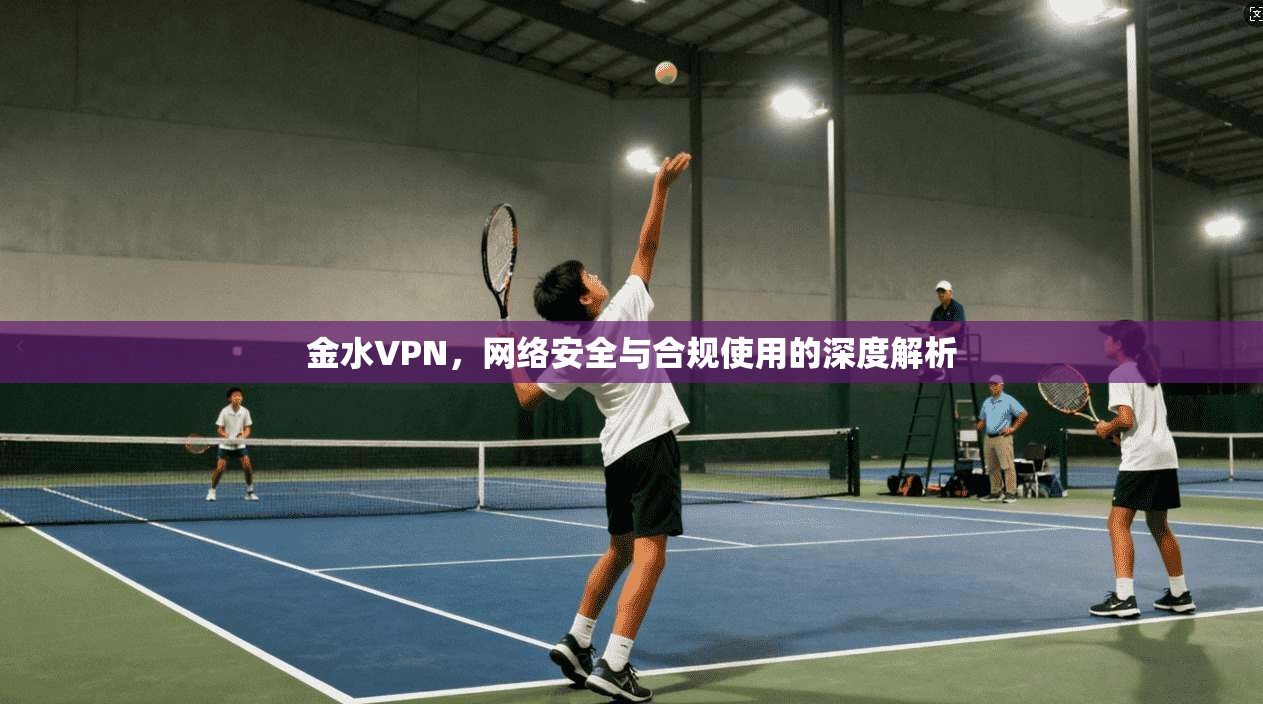 金水VPN，网络安全与合规使用的深度解析