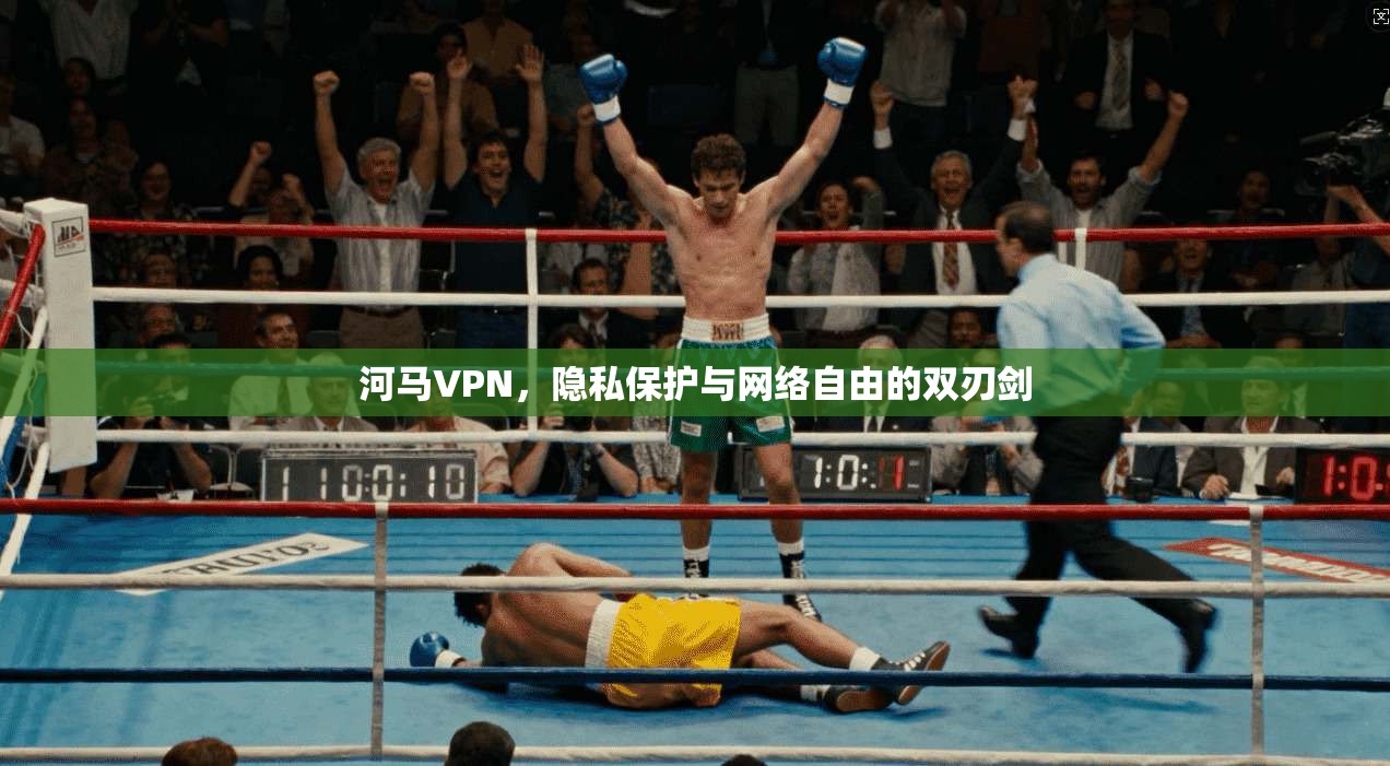 河马VPN，隐私保护与网络自由的双刃剑