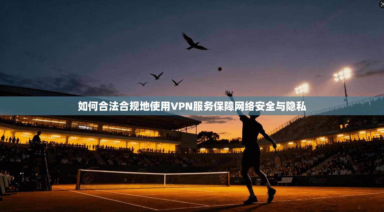 如何合法合规地使用VPN服务保障网络安全与隐私