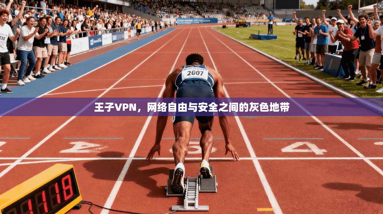 王子VPN，网络自由与安全之间的灰色地带
