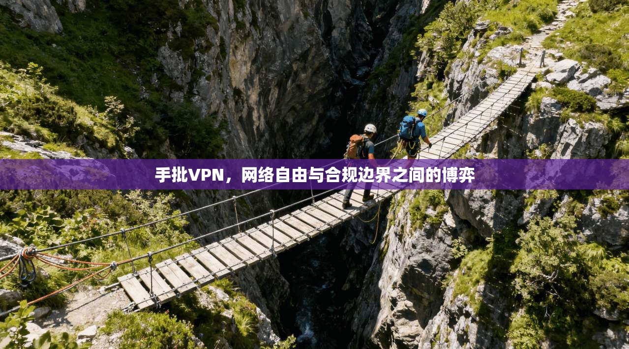 手批VPN，网络自由与合规边界之间的博弈
