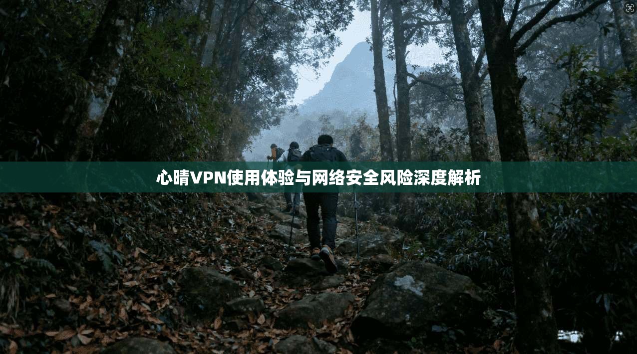 心晴VPN使用体验与网络安全风险深度解析