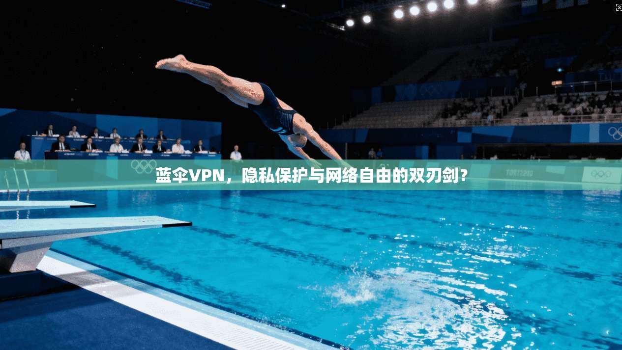 蓝伞VPN，隐私保护与网络自由的双刃剑？