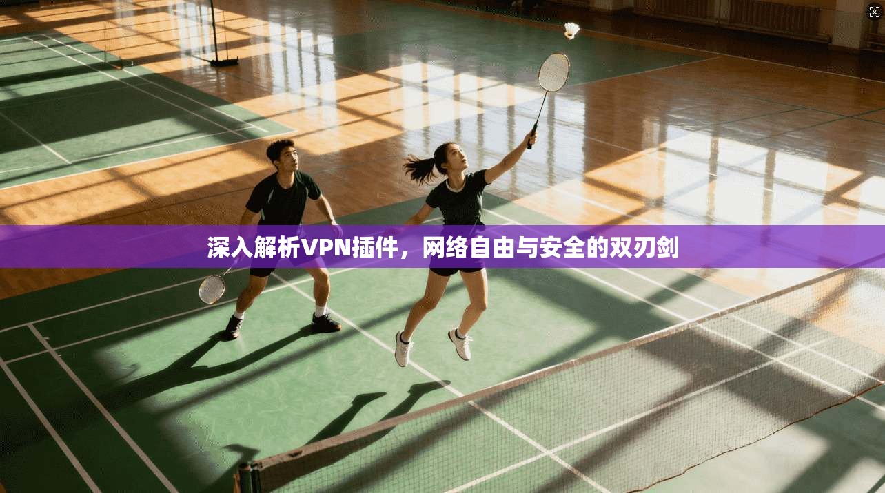 深入解析VPN插件，网络自由与安全的双刃剑