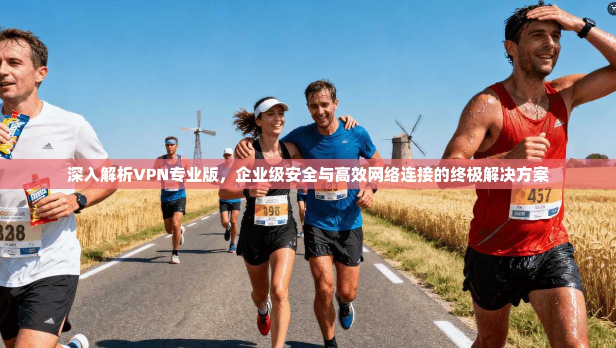 深入解析VPN专业版，企业级安全与高效网络连接的终极解决方案