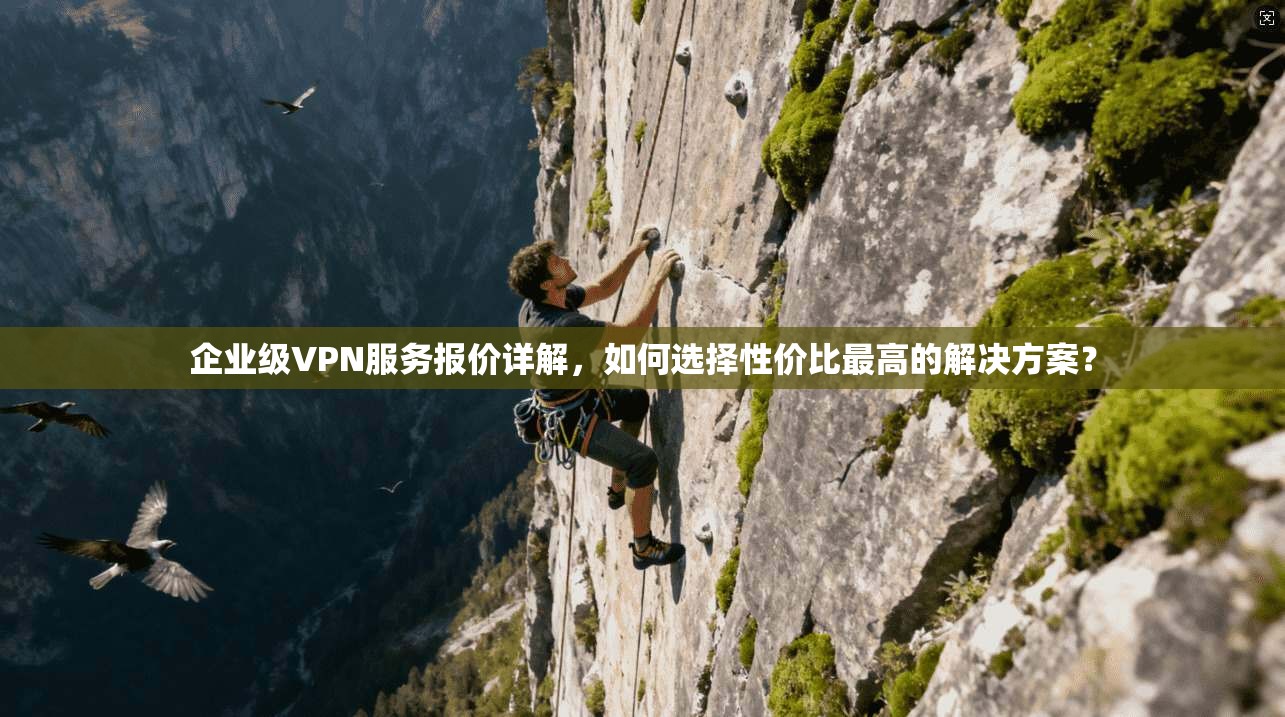 企业级VPN服务报价详解，如何选择性价比最高的解决方案？