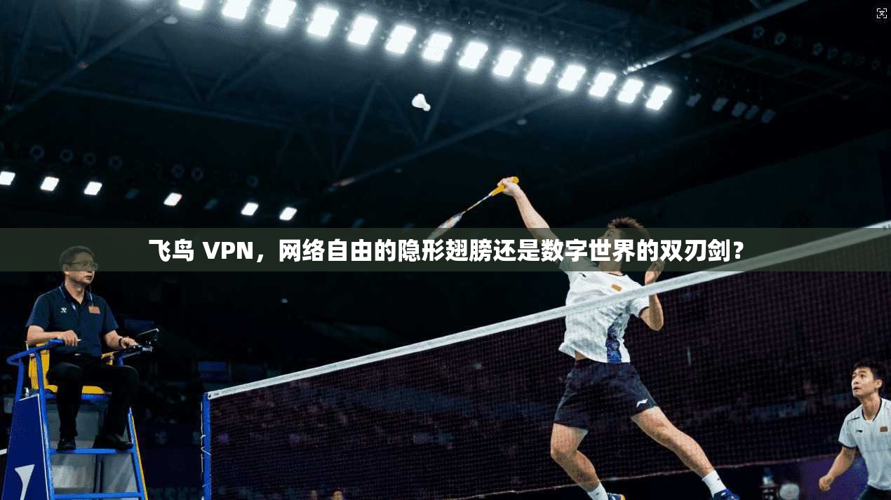 飞鸟 VPN，网络自由的隐形翅膀还是数字世界的双刃剑？