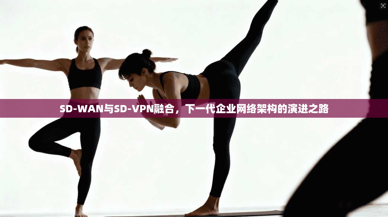 SD-WAN与SD-VPN融合，下一代企业网络架构的演进之路