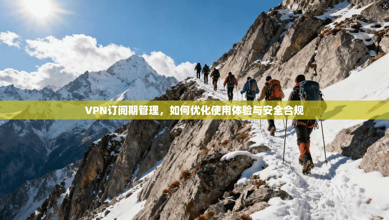 VPN订阅期管理，如何优化使用体验与安全合规