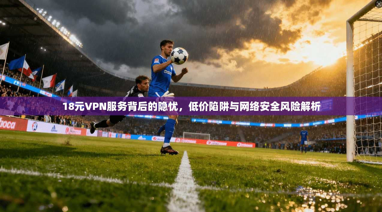 18元VPN服务背后的隐忧，低价陷阱与网络安全风险解析