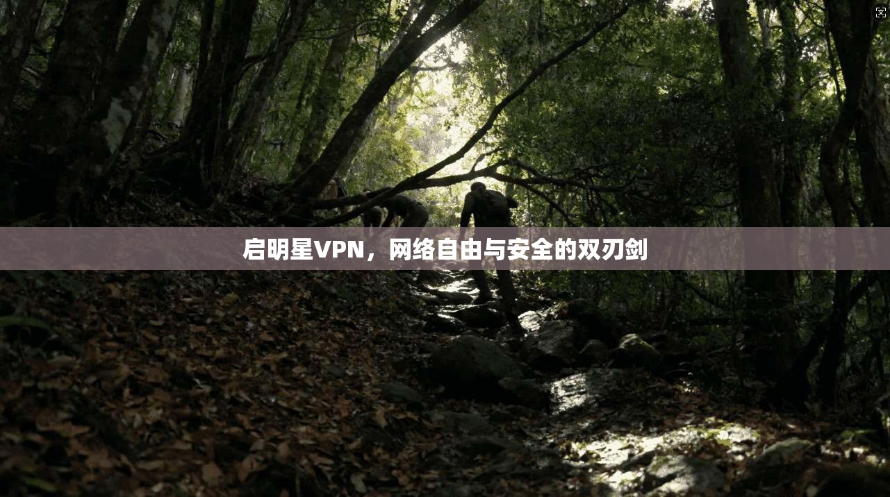 启明星VPN，网络自由与安全的双刃剑