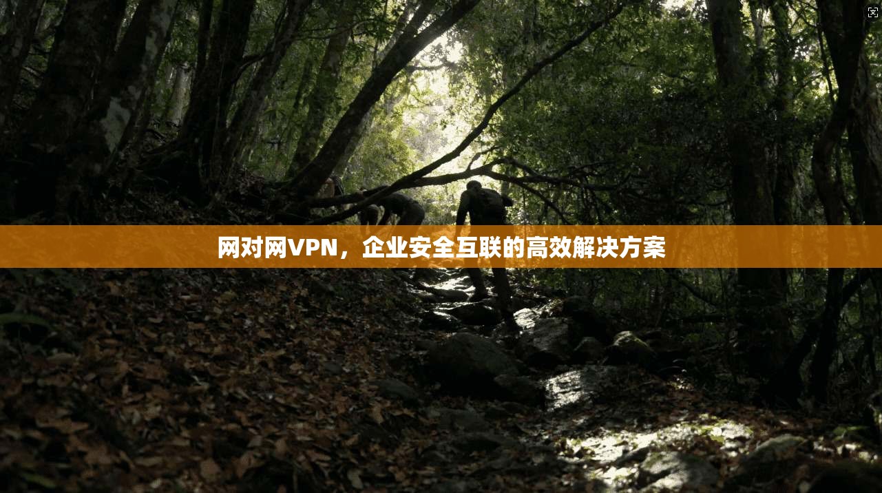 网对网VPN，企业安全互联的高效解决方案