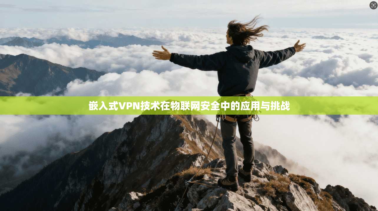 嵌入式VPN技术在物联网安全中的应用与挑战
