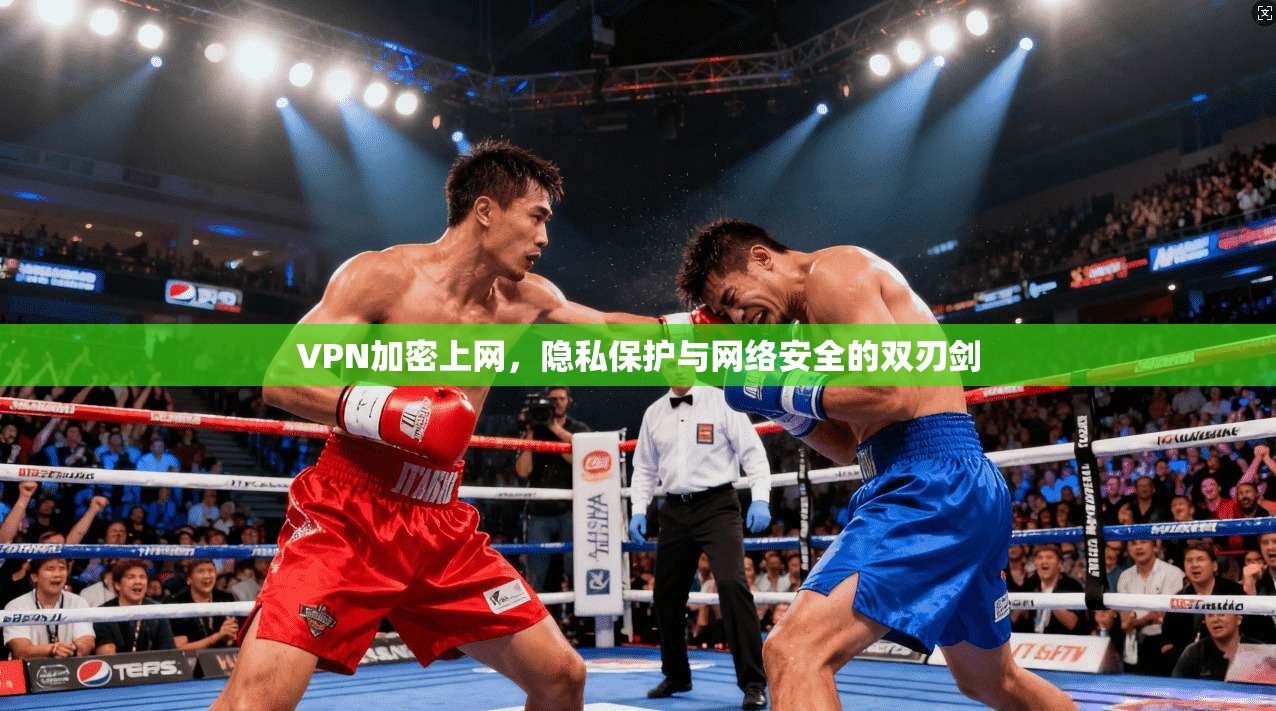 VPN加密上网，隐私保护与网络安全的双刃剑