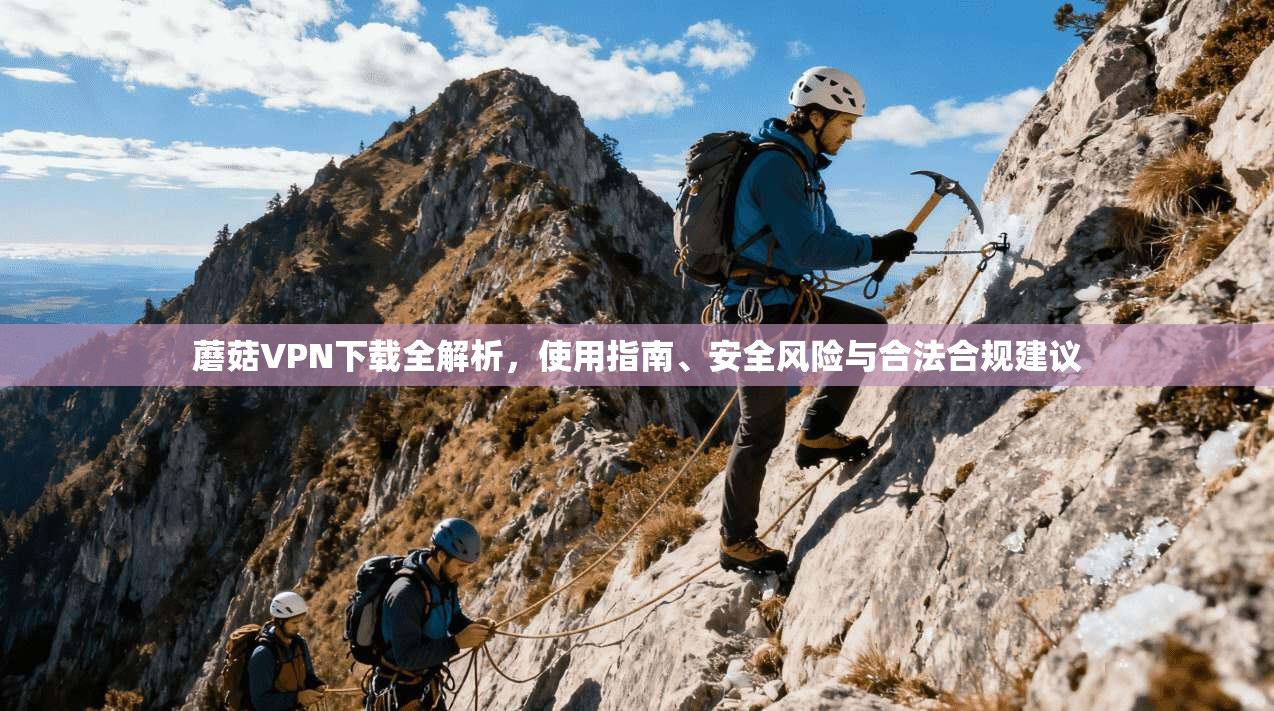 蘑菇VPN下载全解析，使用指南、安全风险与合法合规建议