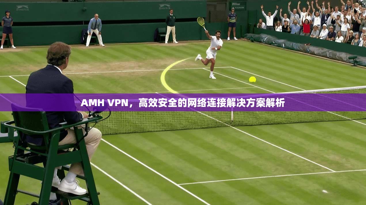 AMH VPN，高效安全的网络连接解决方案解析