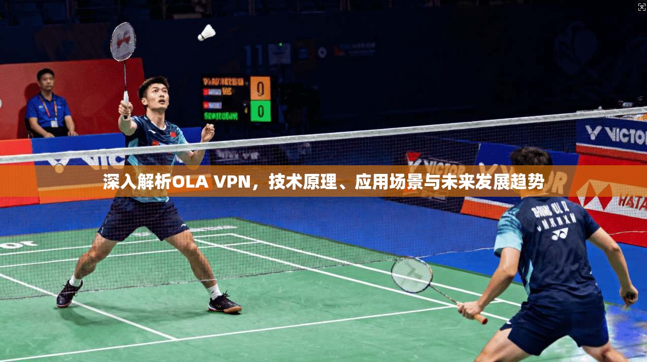 深入解析OLA VPN，技术原理、应用场景与未来发展趋势