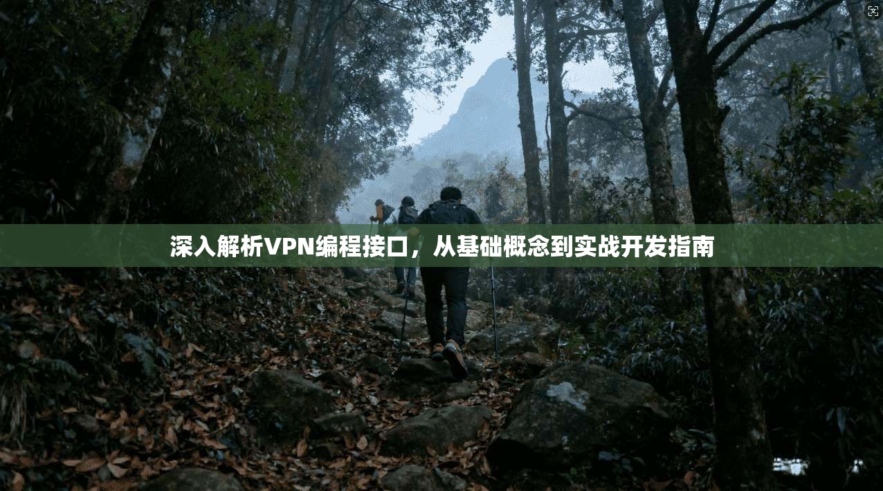 深入解析VPN编程接口，从基础概念到实战开发指南