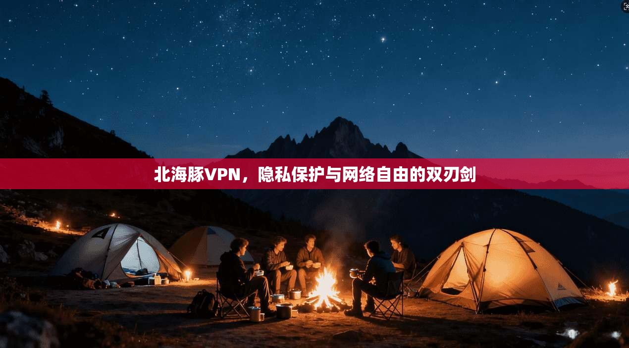 北海豚VPN，隐私保护与网络自由的双刃剑