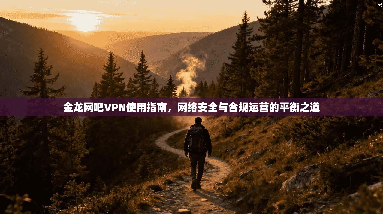 金龙网吧VPN使用指南，网络安全与合规运营的平衡之道