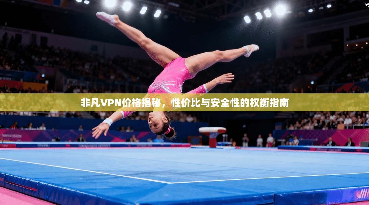 非凡VPN价格揭秘，性价比与安全性的权衡指南