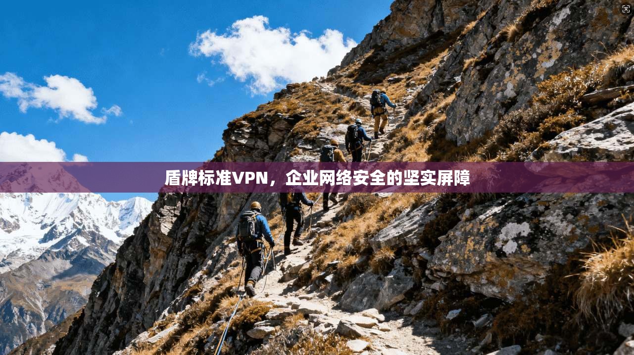 盾牌标准VPN，企业网络安全的坚实屏障