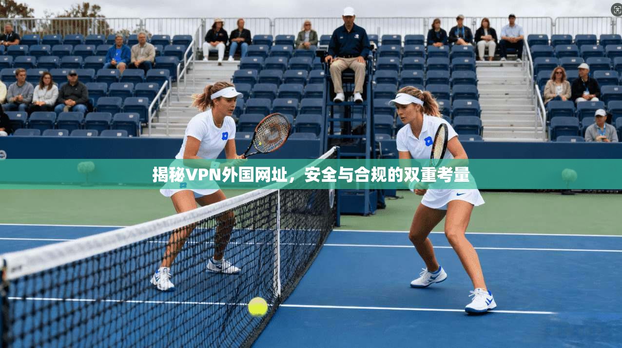 揭秘VPN外国网址，安全与合规的双重考量