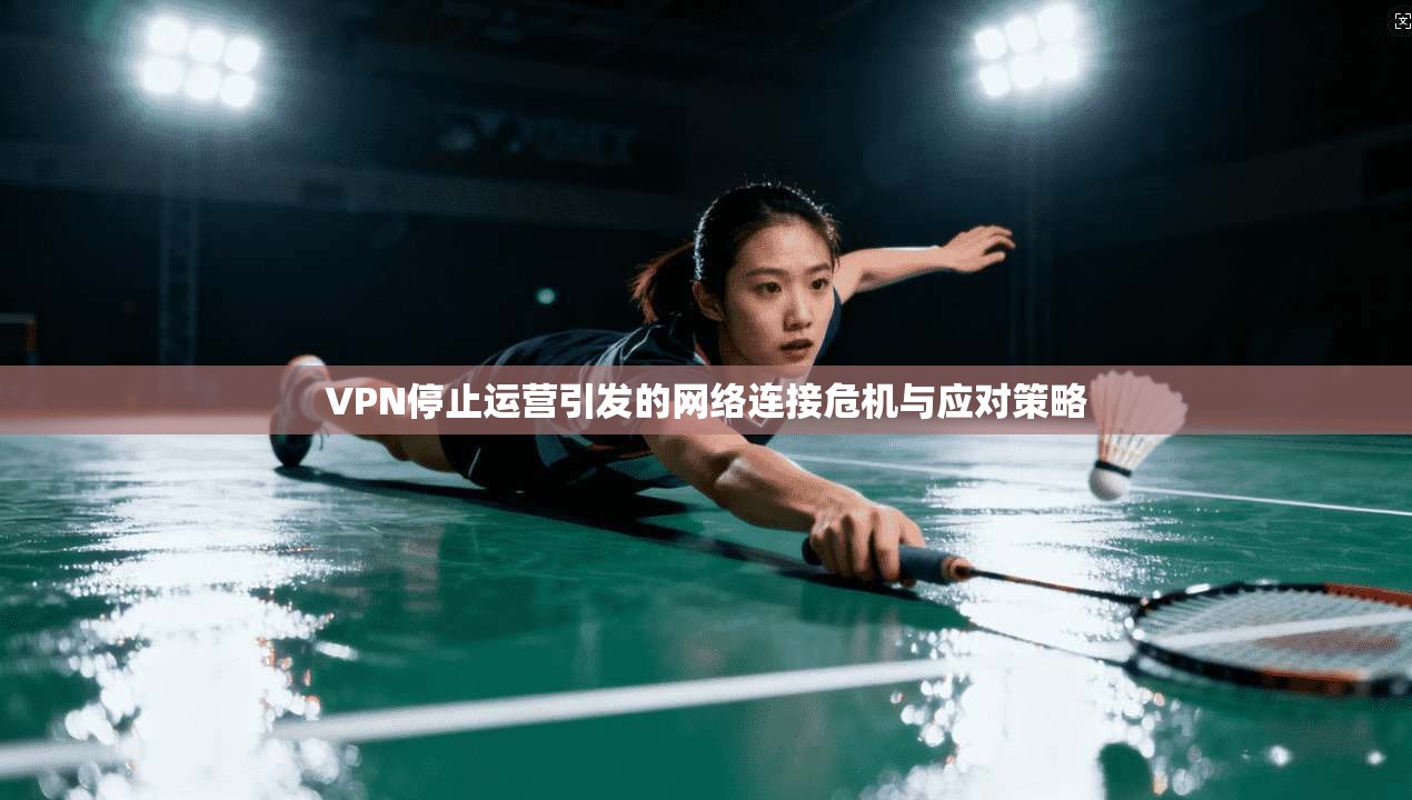 VPN停止运营引发的网络连接危机与应对策略