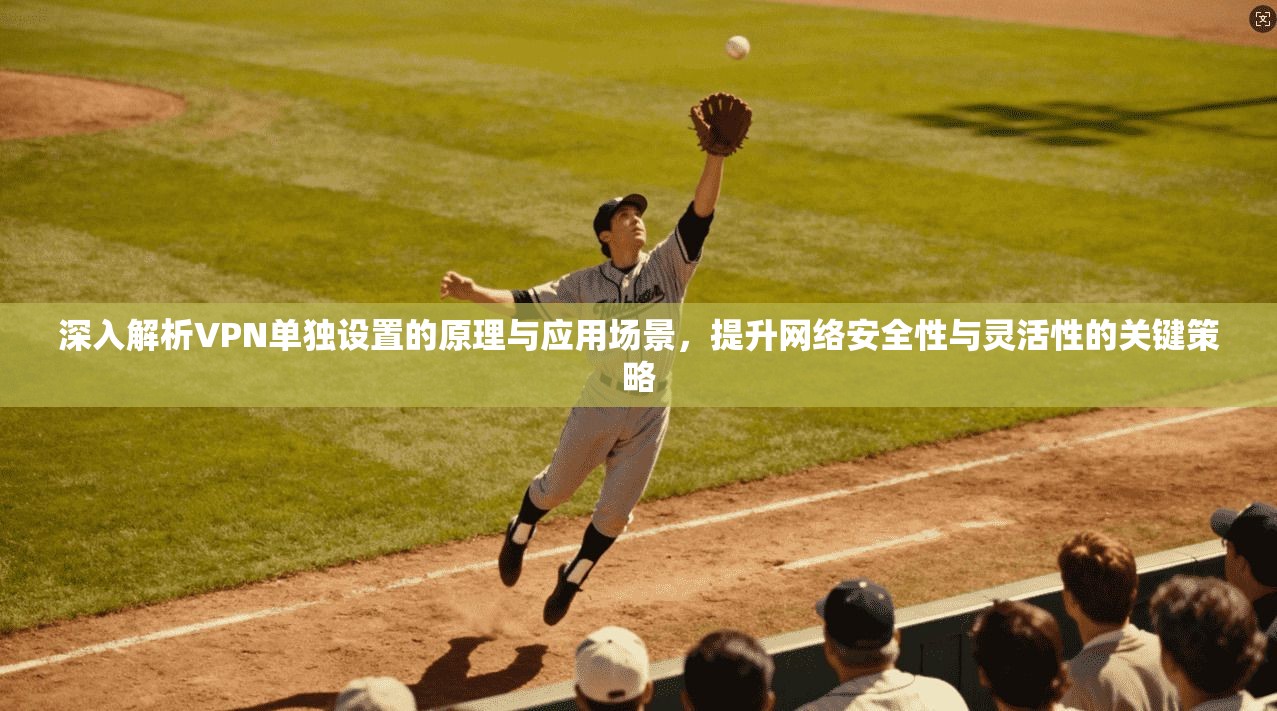 深入解析VPN单独设置的原理与应用场景，提升网络安全性与灵活性的关键策略