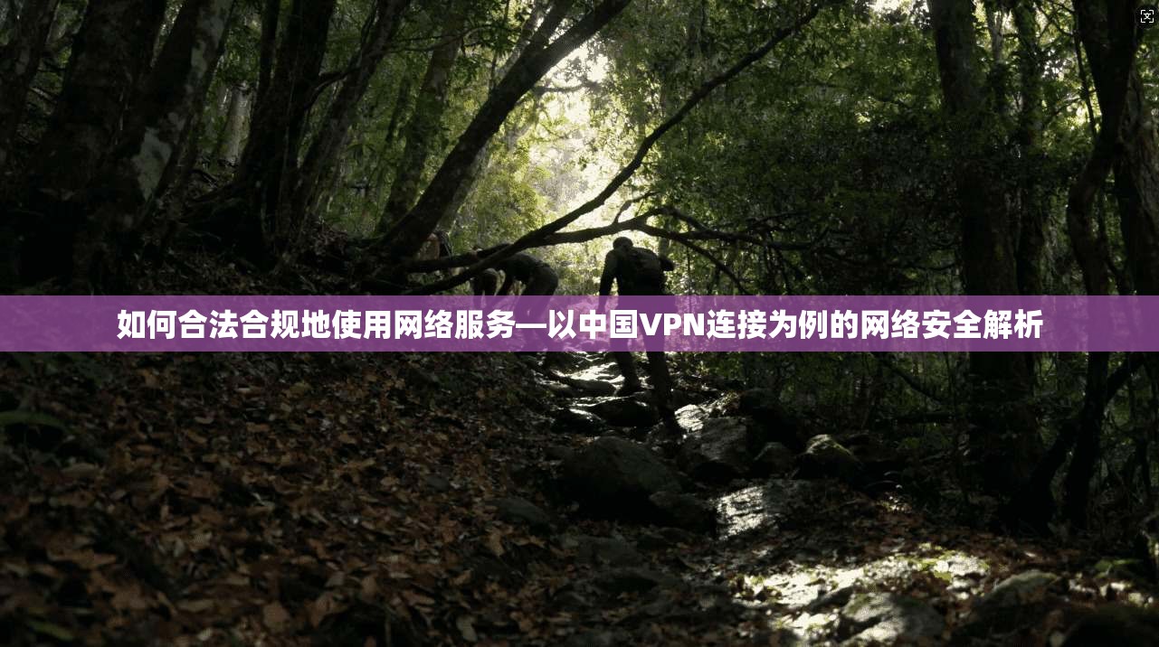 如何合法合规地使用网络服务—以中国VPN连接为例的网络安全解析