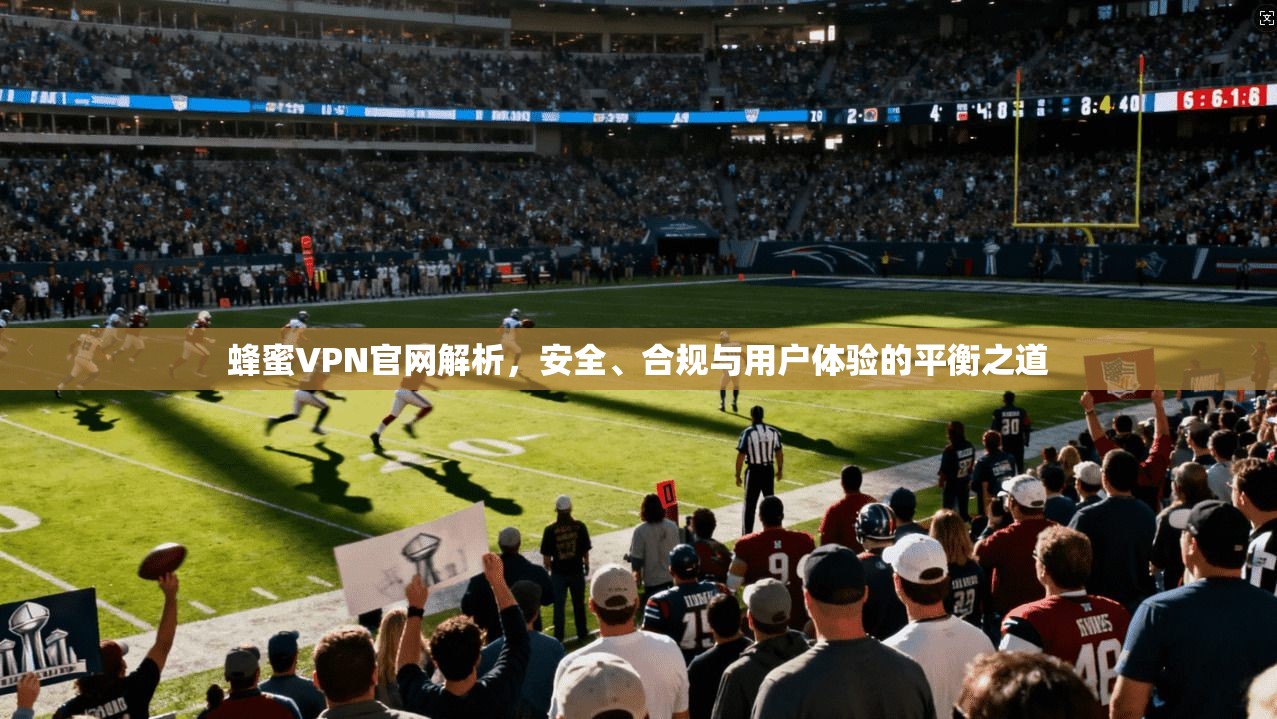 蜂蜜VPN官网解析，安全、合规与用户体验的平衡之道