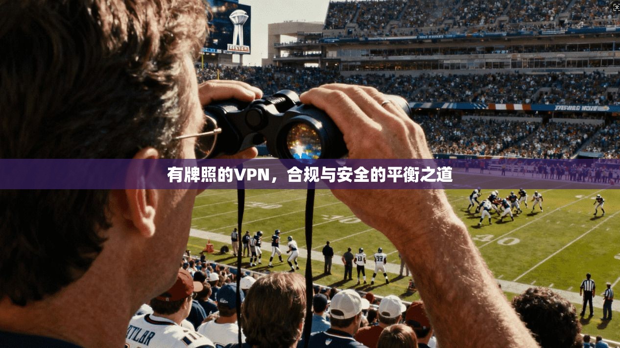 有牌照的VPN，合规与安全的平衡之道