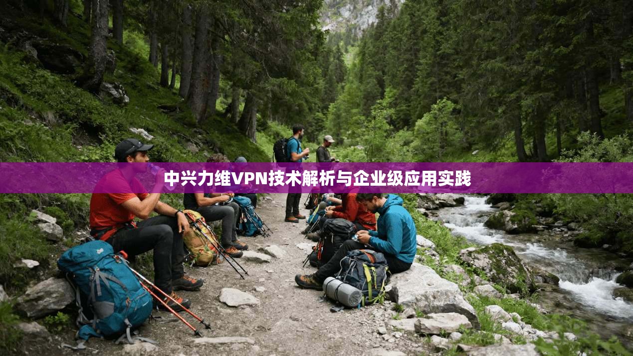 中兴力维VPN技术解析与企业级应用实践