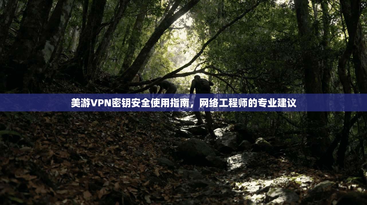 美游VPN密钥安全使用指南，网络工程师的专业建议