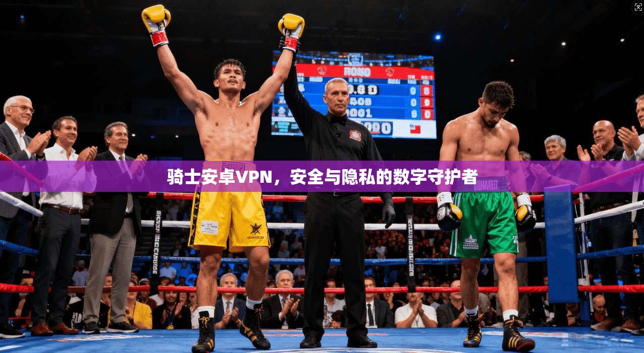 骑士安卓VPN，安全与隐私的数字守护者