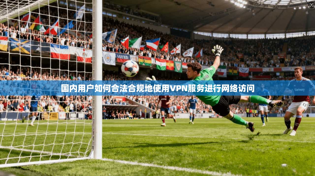 国内用户如何合法合规地使用VPN服务进行网络访问