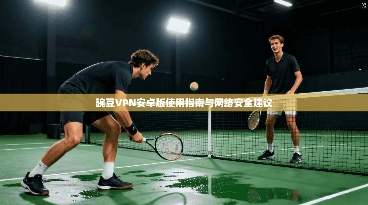 豌豆VPN安卓版使用指南与网络安全建议