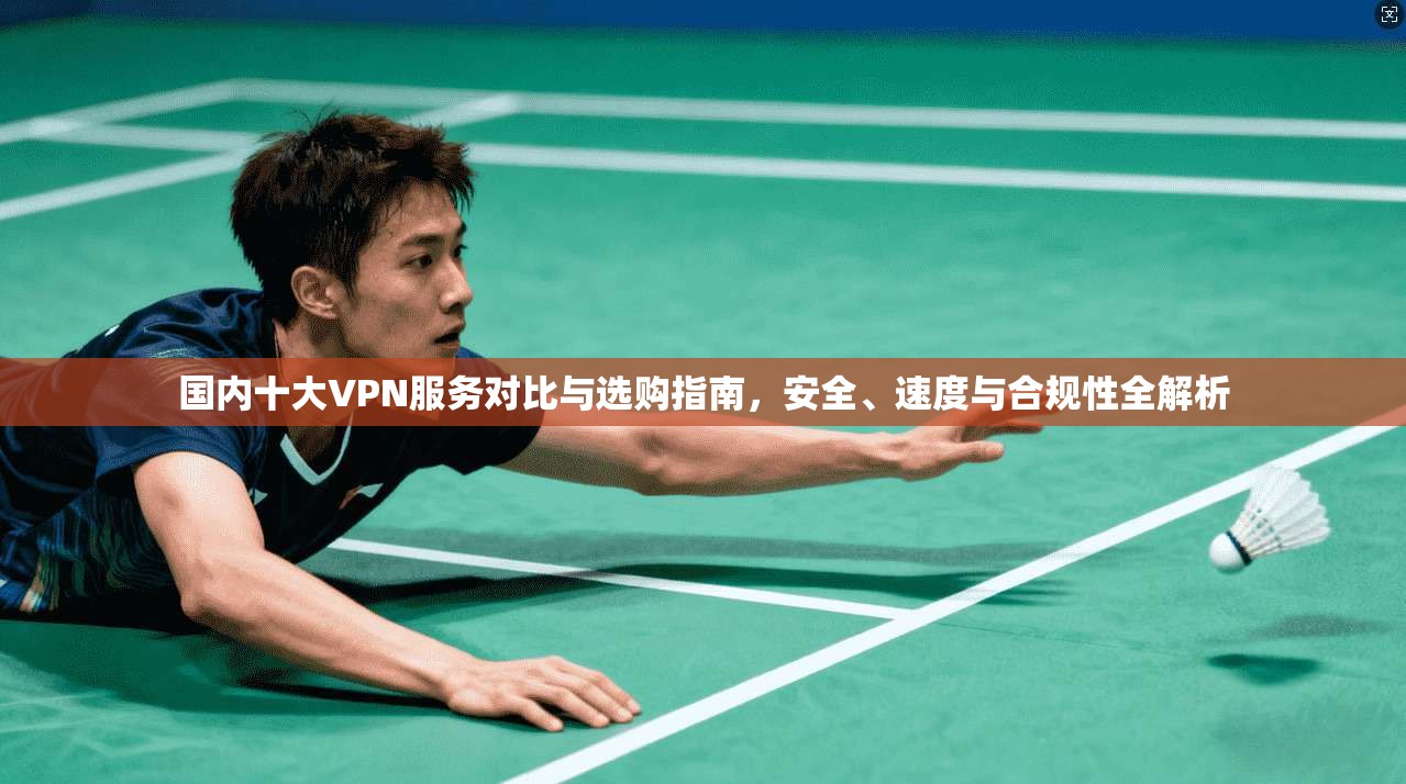 国内十大VPN服务对比与选购指南，安全、速度与合规性全解析