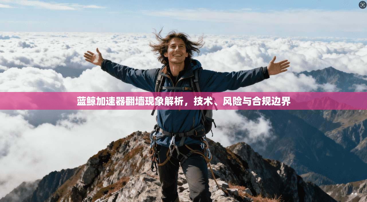 蓝鲸加速器翻墙现象解析，技术、风险与合规边界