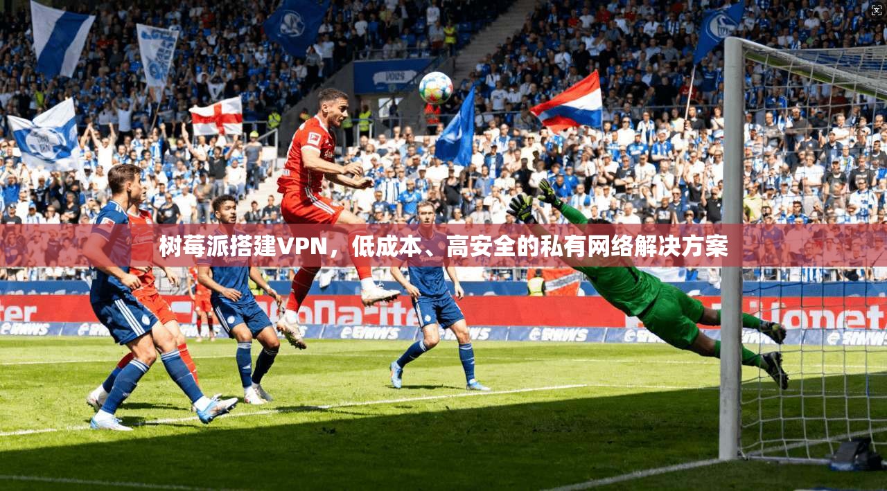 树莓派搭建VPN，低成本、高安全的私有网络解决方案