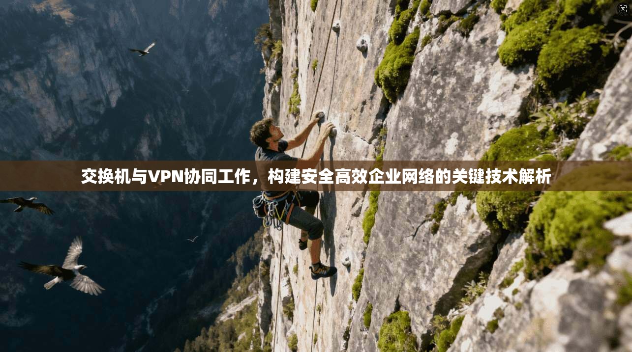 交换机与VPN协同工作，构建安全高效企业网络的关键技术解析