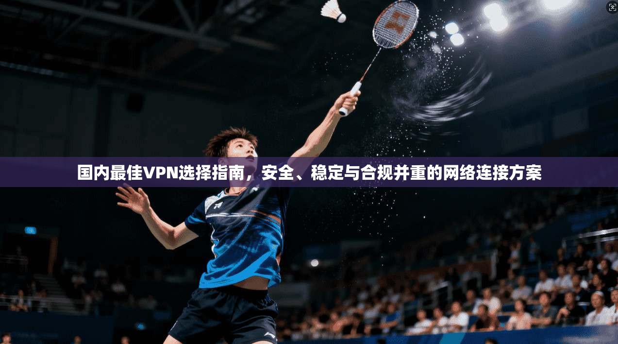 国内最佳VPN选择指南，安全、稳定与合规并重的网络连接方案