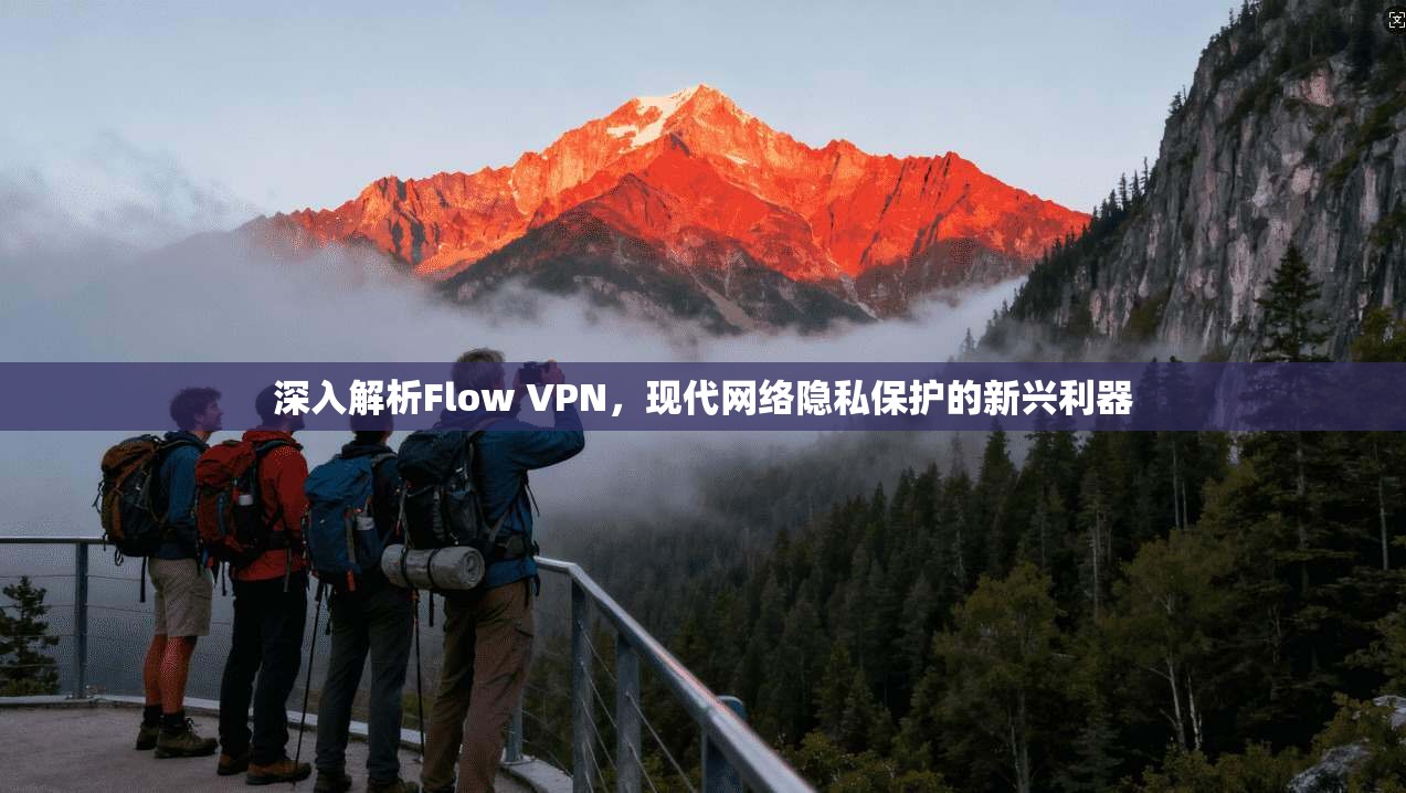 深入解析Flow VPN，现代网络隐私保护的新兴利器