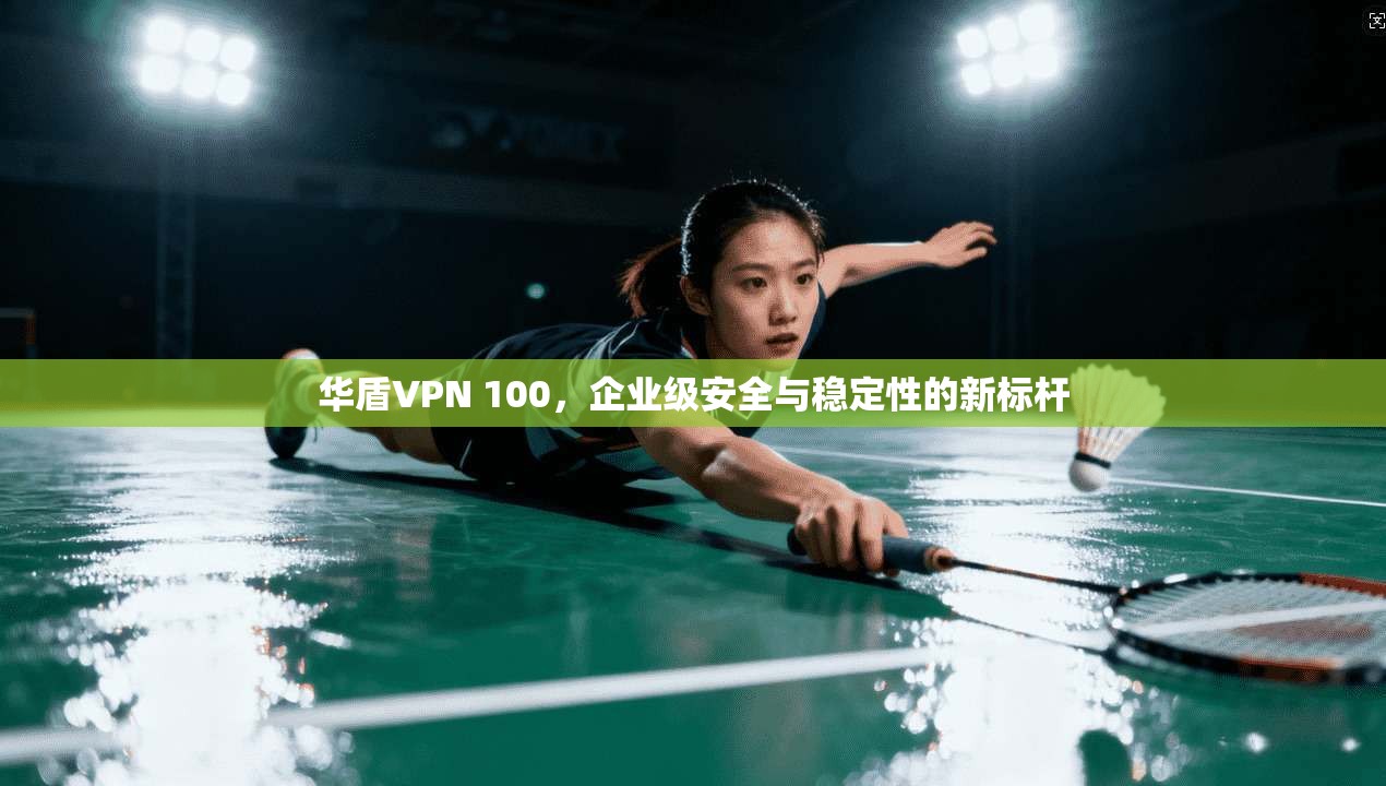 华盾VPN 100，企业级安全与稳定性的新标杆