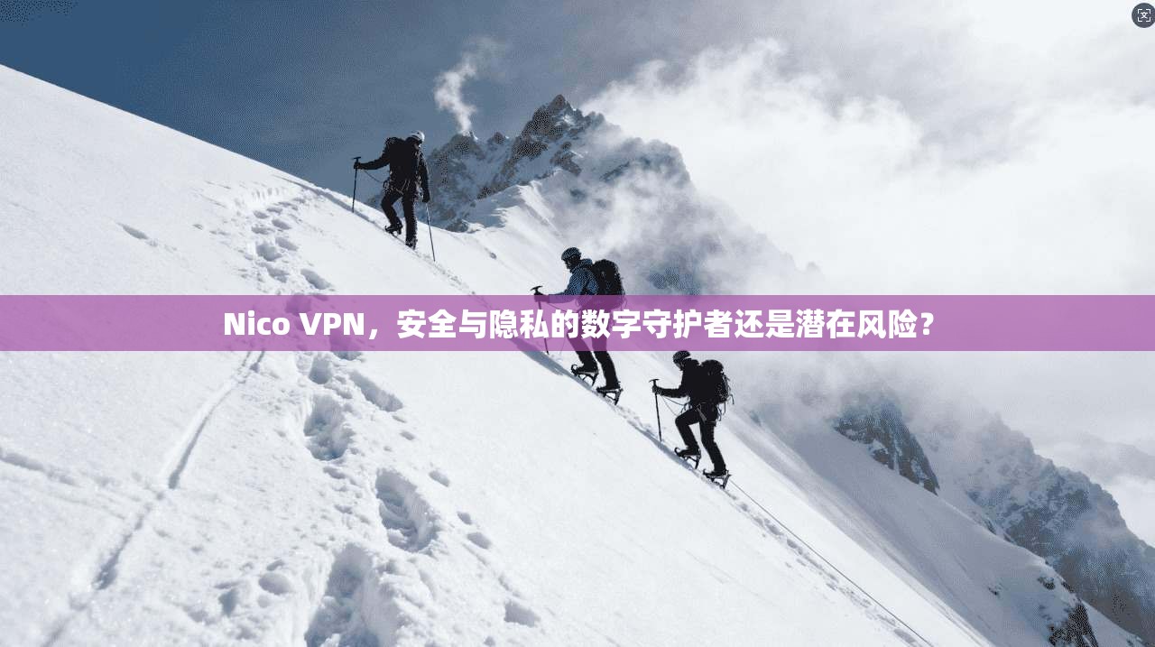 Nico VPN，安全与隐私的数字守护者还是潜在风险？