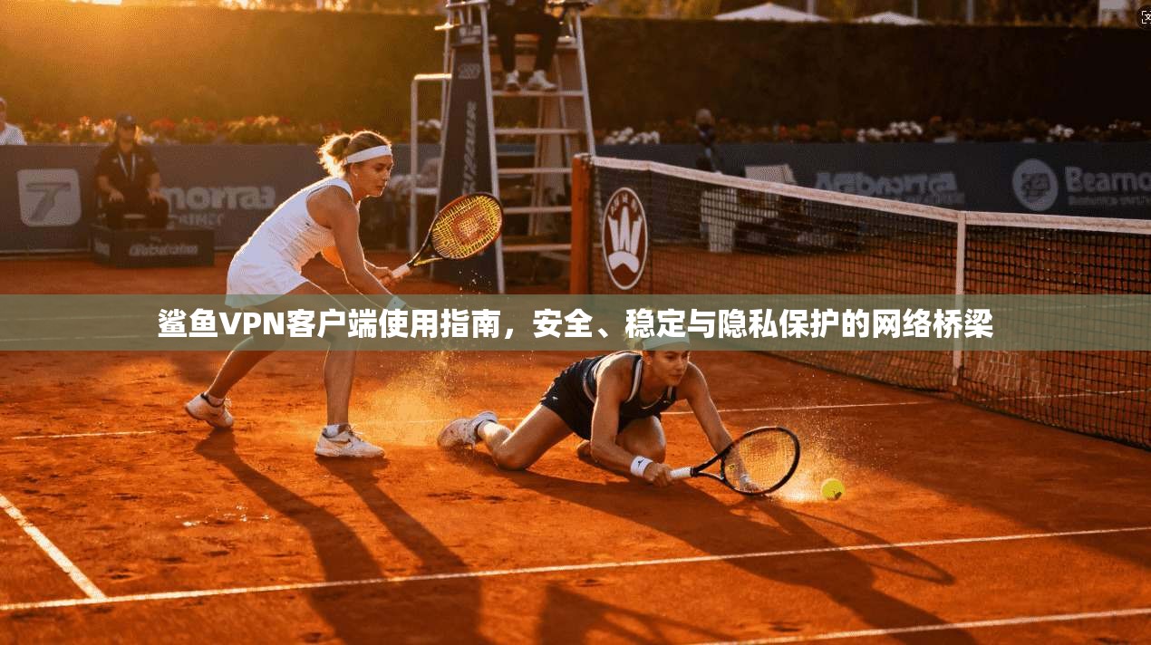 鲨鱼VPN客户端使用指南，安全、稳定与隐私保护的网络桥梁
