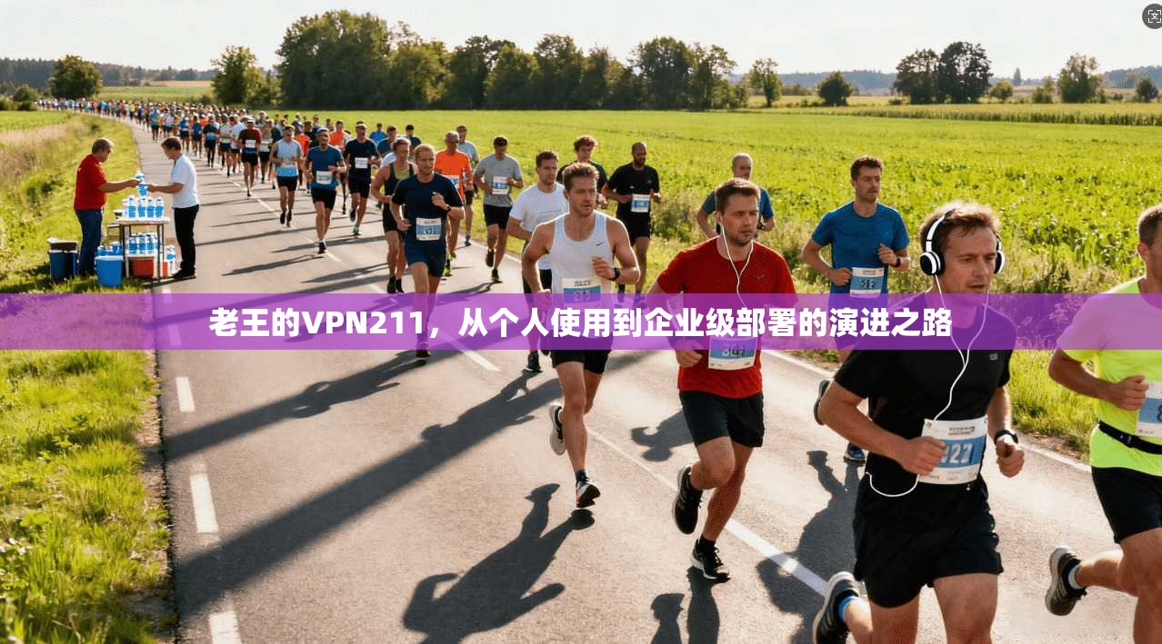 老王的VPN211，从个人使用到企业级部署的演进之路