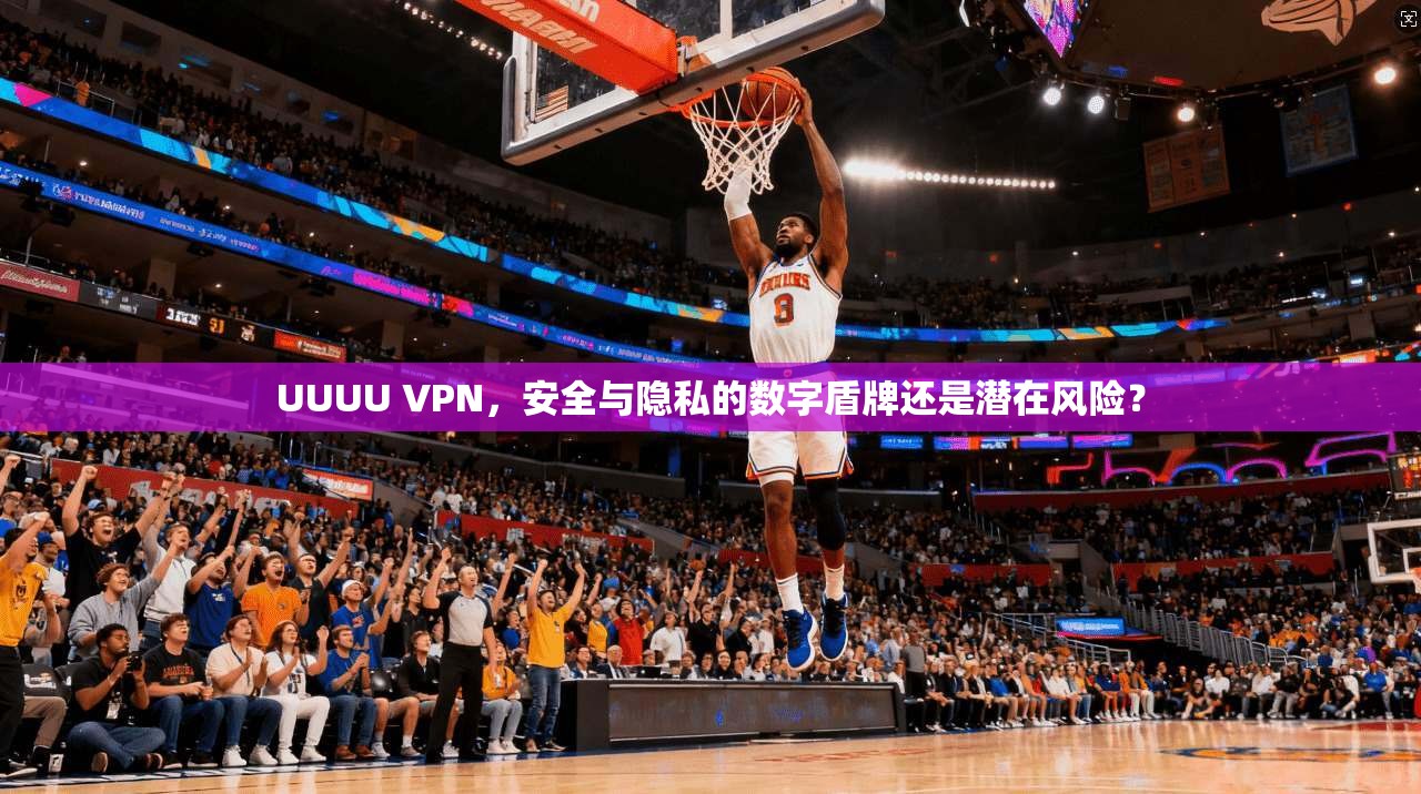 UUUU VPN，安全与隐私的数字盾牌还是潜在风险？