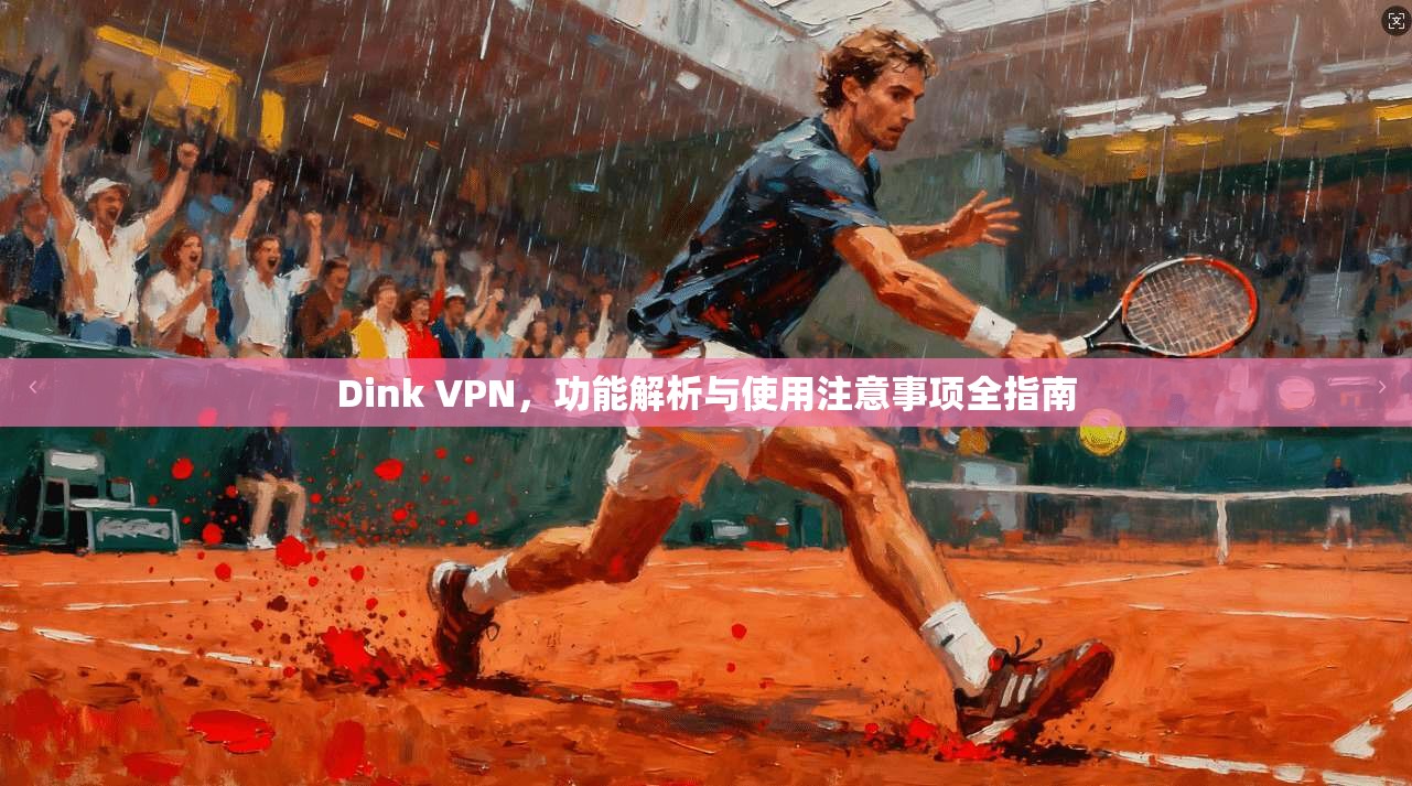 Dink VPN，功能解析与使用注意事项全指南